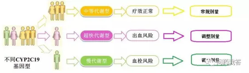640.webp (2).png